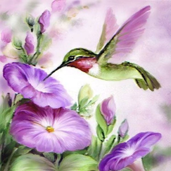 Живопись птицы лиловый