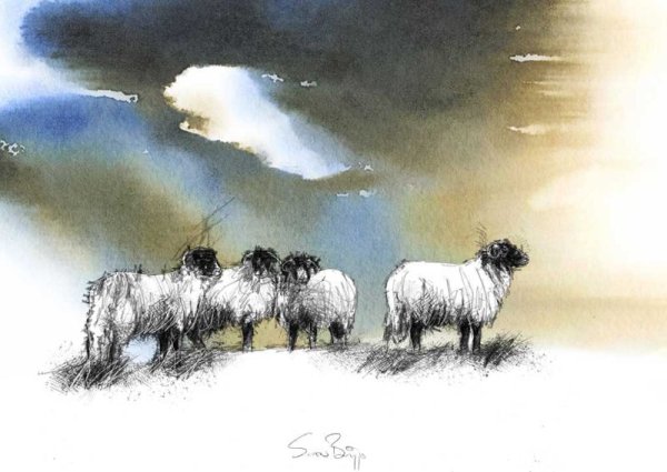 Овца нарисованная красками