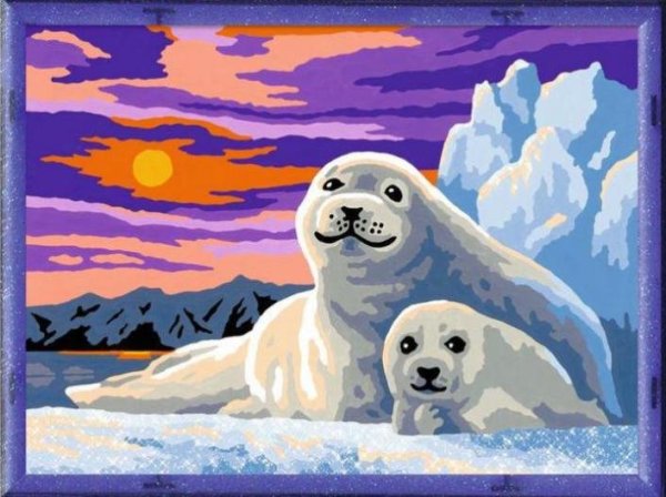 Нерпа живопись для детей