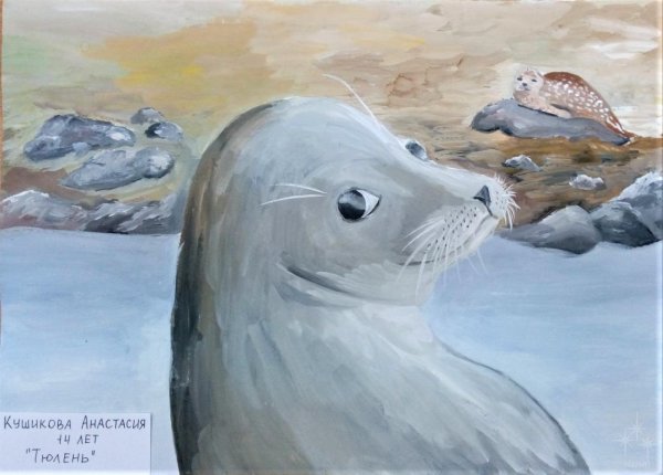 Морской котик гуашью