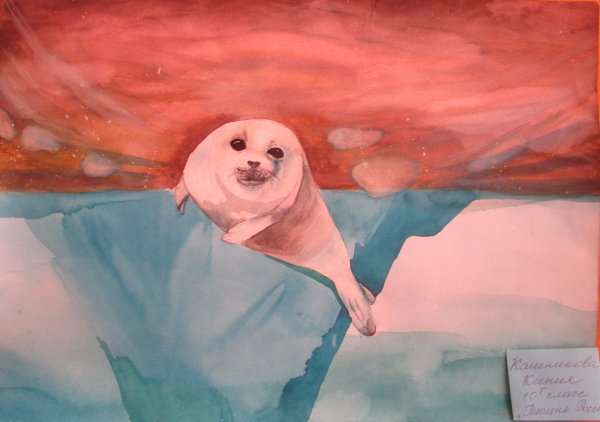 Тюлень гуашью
