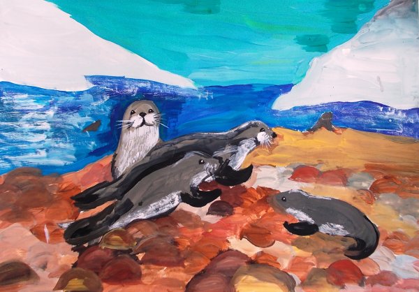 Тюлень гуашью