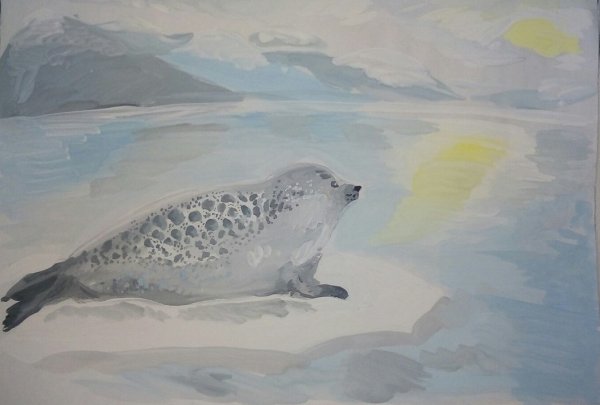 Кольчатая Нерпа ареал