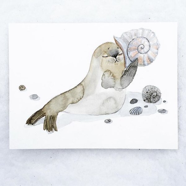 Тюлень акварелью