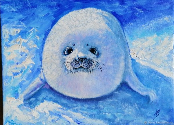 Байкальский нерпенок Белек рисунки