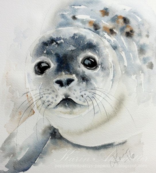Тюлень акварелью