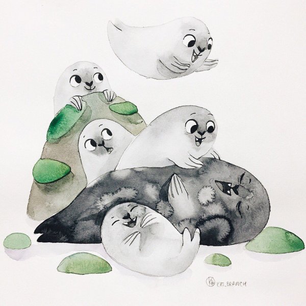 Тюлень рисунок акварелью