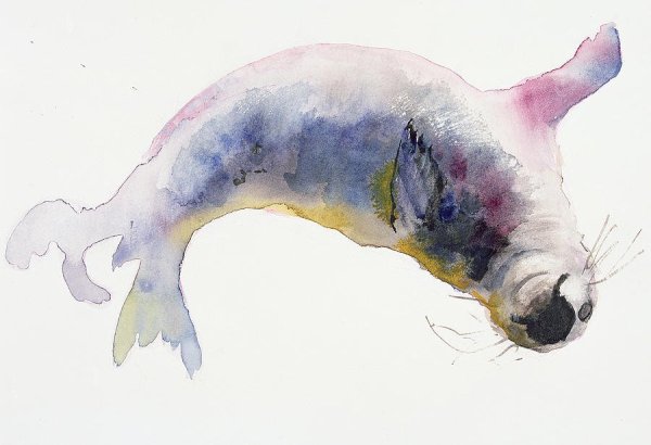 Морской котик акварель