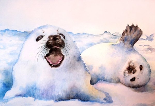 Тюлень акварелью