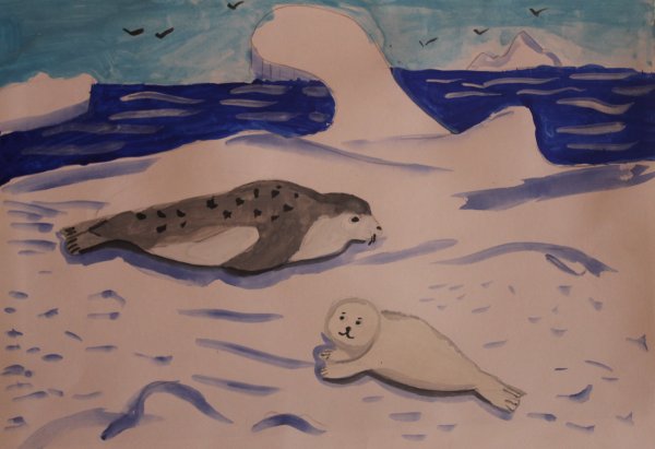 Нерпа гуашью