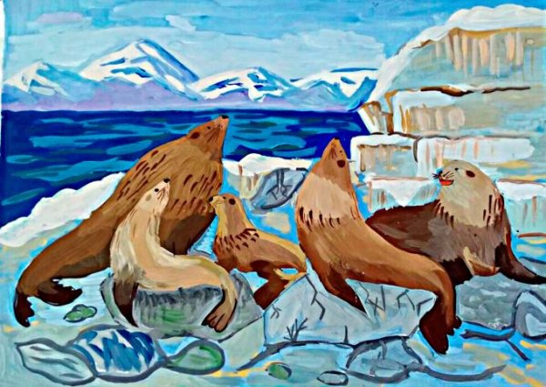 Нерпа картина