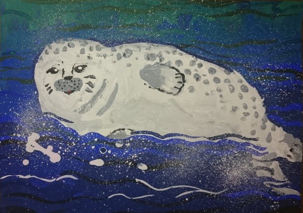 Арктический тюлень