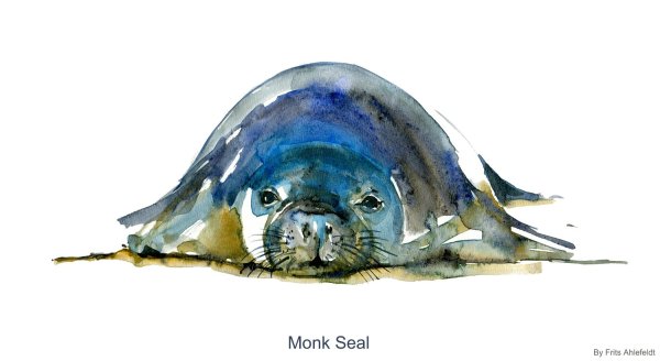 Тюлень акварелью