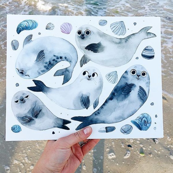Тюлень акварелью