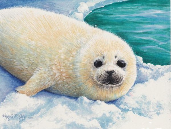 Рисунок нерпы на Байкале