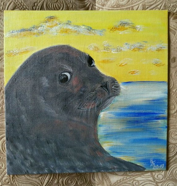 Нерпа рисунок