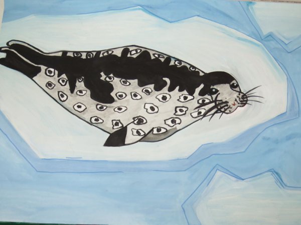 Балтийская кольчатая Нерпа рисунок