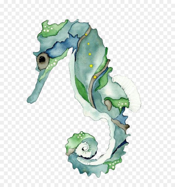 Карл э. "морской конёк"