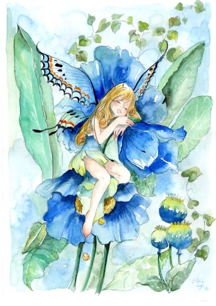 Дюймовочка в скорлупке