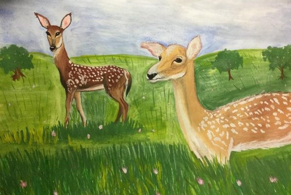 Животные гуашью