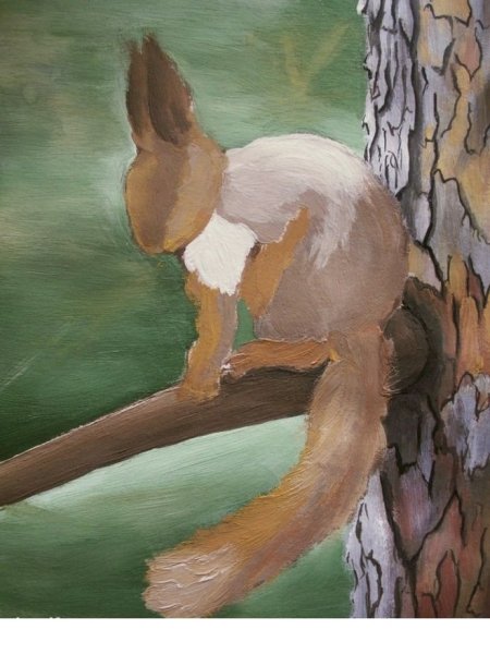 Белка гуашью