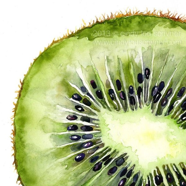 Фрукты в разрезе