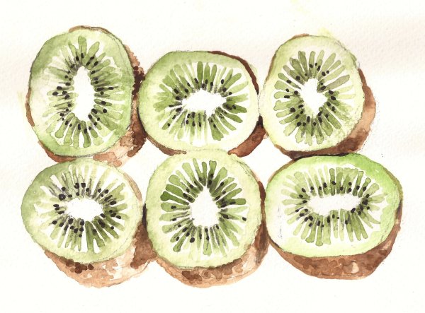 Киви рисунок акварелью