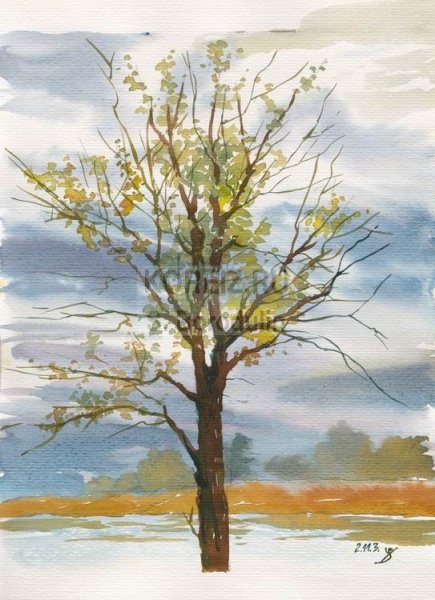 «Осенний лес» (т.с.Комарова №12)