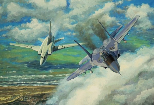 Жирнов миг29 913