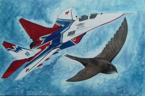 Стриж птица и самолет