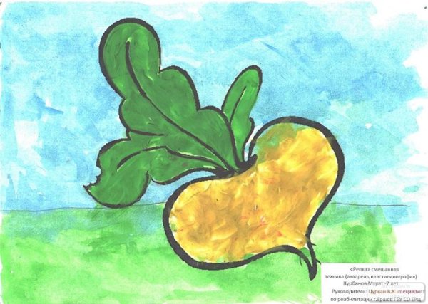 Рисование Репки в средней группе