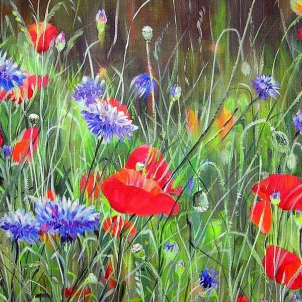 Василек гуашью