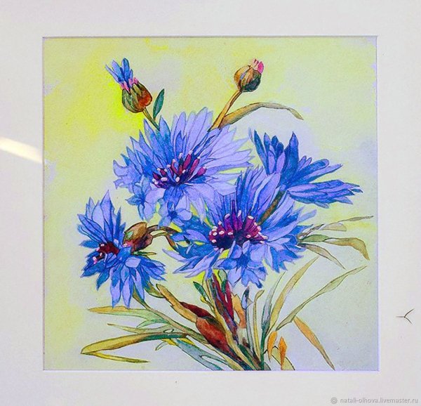 Василек акрилом