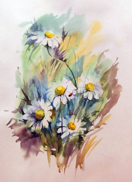 Акварель ромашки