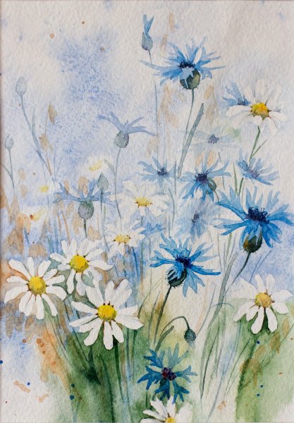 Акварель ромашки