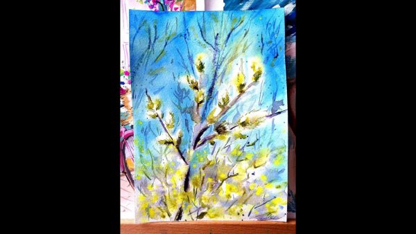 Верба рисунок