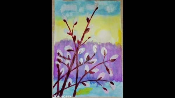 Верба рисунок красками