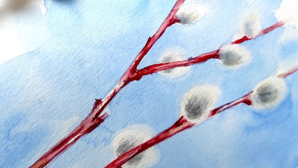 Верба красками