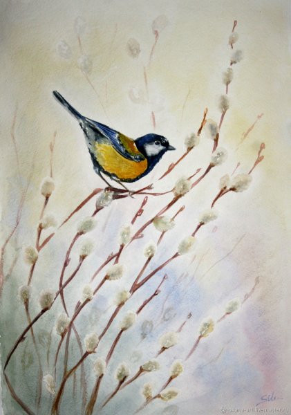 Рисование вербы акварелью