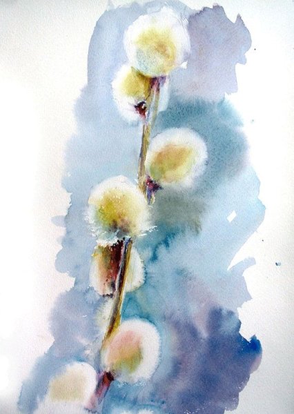 Ветка вербы акварель