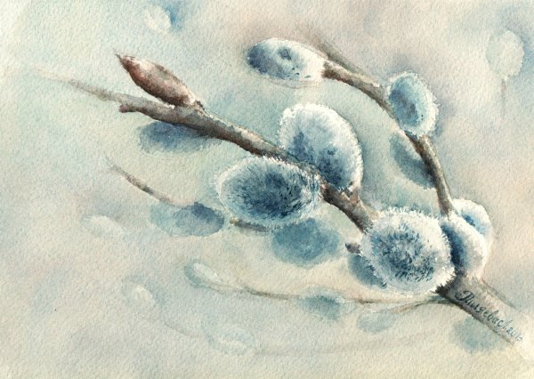 Ветки в вазе рисование