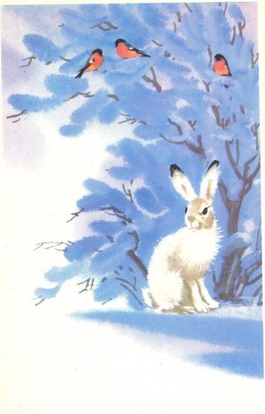 Заяц зимой рисунок красками