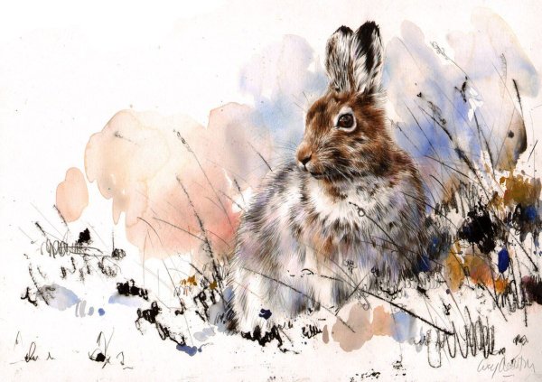 Зайчик гуашью для детей