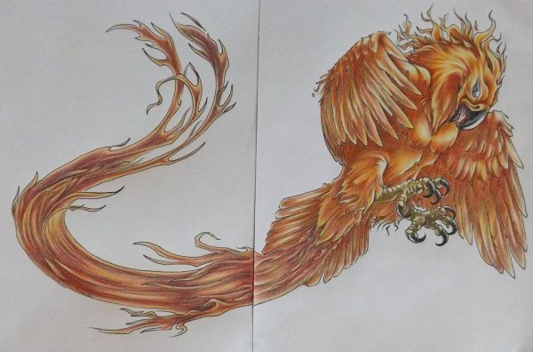 Птица Феникс референс