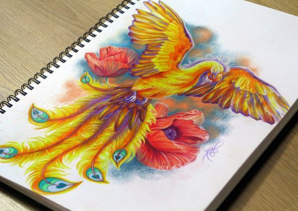 Феникс гуашью