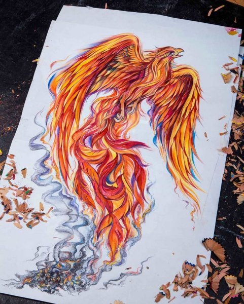 Феникс эскиз