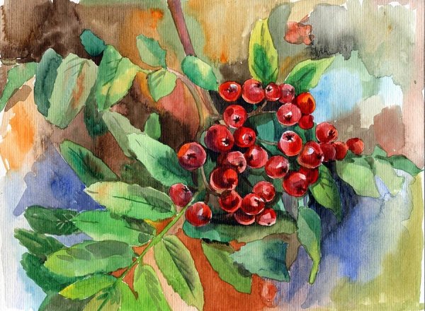 Рябинка живопись Этюд