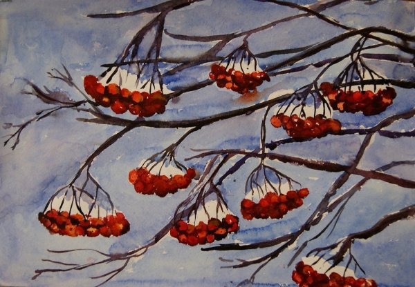 Рябина акварелью