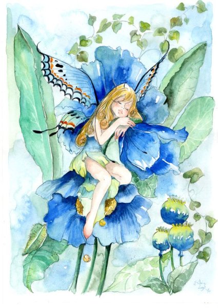 Цветы и феи акварель