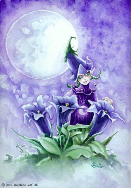 Маленький Эльф